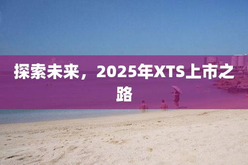 探索未來，2025年XTS上市之路