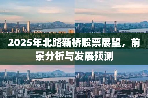 2025年北路新橋股票展望，前景分析與發展預測