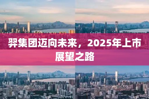 羿集團(tuán)邁向未來，2025年上市展望之路