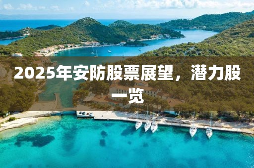2025年安防股票展望,潛力股一覽