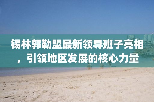 錫林郭勒盟最新領導班子亮相,引領地區發展的核心力量