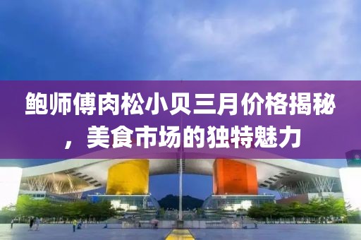 鮑師傅肉松小貝三月價格揭秘，美食市場的獨特魅力