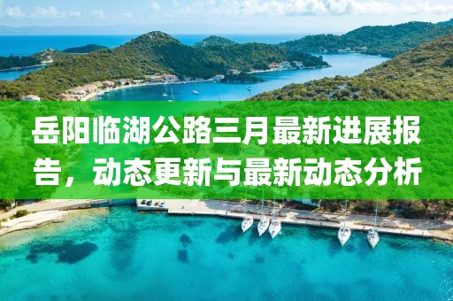 岳陽臨湖公路三月最新進展報告，動態更新與最新動態分析
