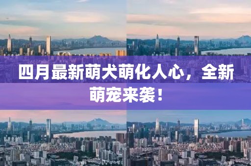 四月最新萌犬萌化人心，全新萌寵來襲！