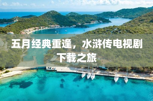 五月經典重逢,水滸傳電視劇下載之旅