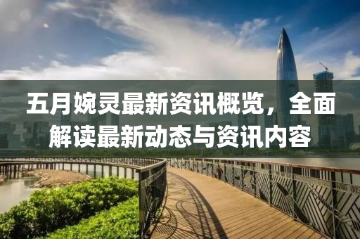 五月婉靈最新資訊概覽，全面解讀最新動態與資訊內容