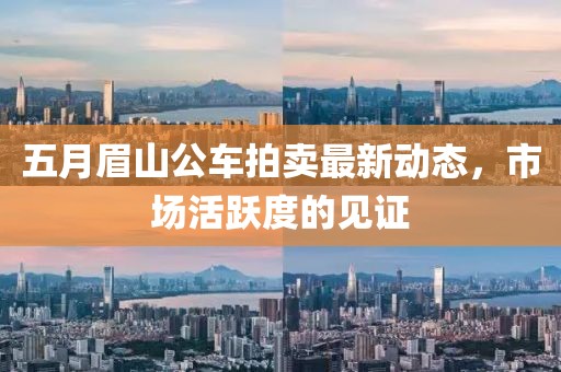 五月眉山公車拍賣最新動態，市場活躍度的見證