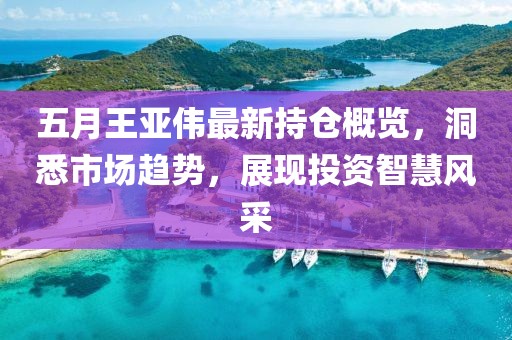 五月王亞偉最新持倉概覽,洞悉市場趨勢,展現(xiàn)投資智慧風(fēng)采
