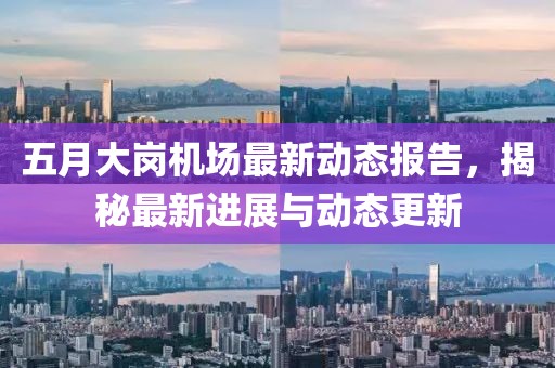 五月大崗機(jī)場最新動態(tài)報告,揭秘最新進(jìn)展與動態(tài)更新
