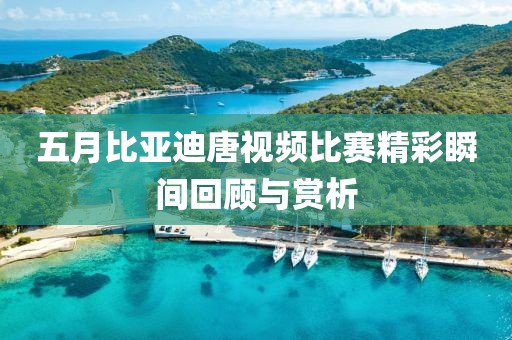 五月比亞迪唐視頻比賽精彩瞬間回顧與賞析