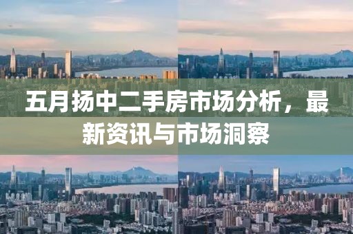 五月?lián)P中二手房市場分析，最新資訊與市場洞察
