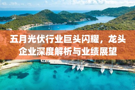五月光伏行業(yè)巨頭閃耀，龍頭企業(yè)深度解析與業(yè)績(jī)展望