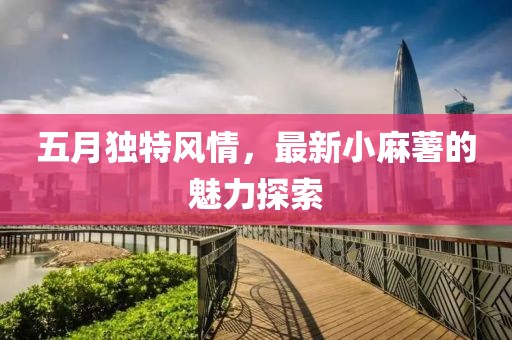 五月獨特風(fēng)情，最新小麻薯的魅力探索