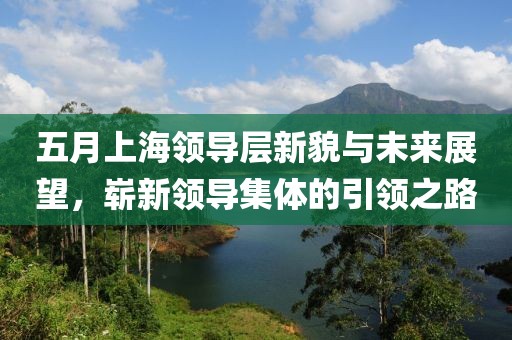 五月上海領導層新貌與未來展望，嶄新領導集體的引領之路