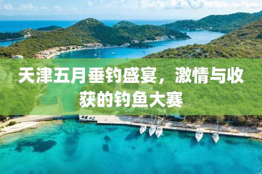 天津五月垂釣盛宴，激情與收獲的釣魚大賽