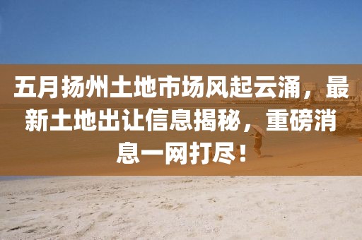 五月揚州土地市場風起云涌,最新土地出讓信息揭秘,重磅消息一網打盡!