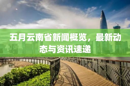 五月云南省新聞概覽，最新動態與資訊速遞