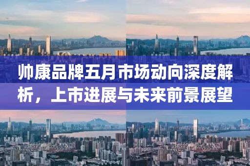 帥康品牌五月市場動向深度解析，上市進展與未來前景展望