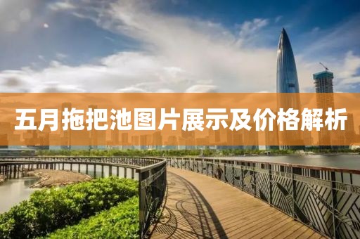 五月拖把池圖片展示及價格解析