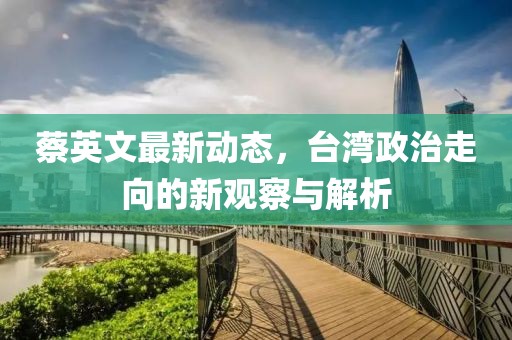 蔡英文最新動態，臺灣政治走向的新觀察與解析