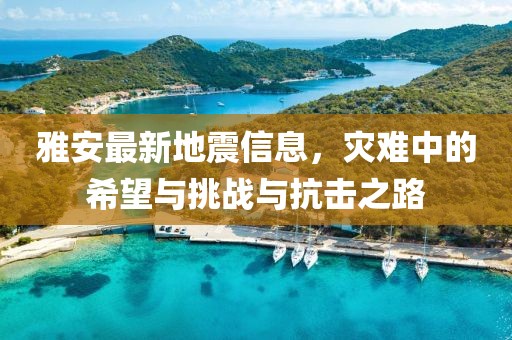 雅安最新地震信息，災(zāi)難中的希望與挑戰(zhàn)與抗擊之路