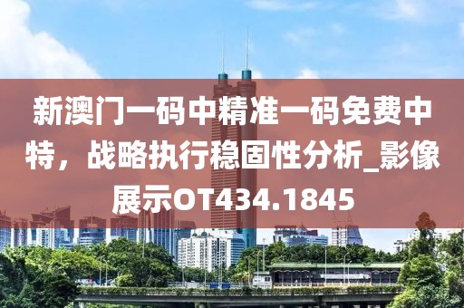 新澳門一碼中精準一碼免費中特，戰略執行穩固性分析_影像展示OT434.1845