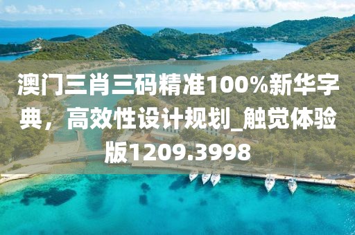 澳門三肖三碼精準100%新華字典,高效性設計規劃_觸覺體驗版1209.3998