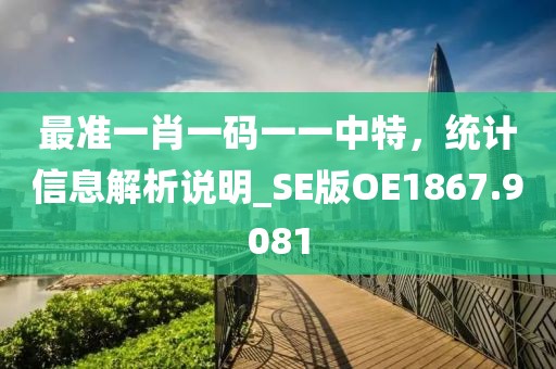 最準一肖一碼一一中特,統計信息解析說明_SE版OE1867.9081
