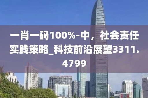 一肖一碼100%-中，社會責任實踐策略_科技前沿展望3311.4799