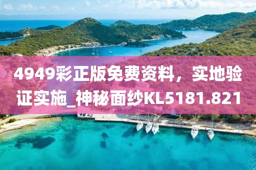 4949彩正版免費資料,實地驗證實施_神秘面紗KL5181.821