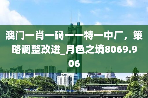 澳門一肖一碼一一特一中廠，策略調整改進_月色之境8069.906