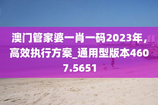 澳門管家婆一肖一碼2023年,高效執行方案_通用型版本4607.5651