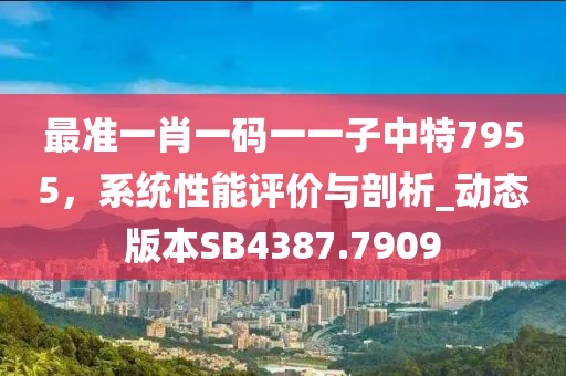 最準一肖一碼一一子中特7955,系統性能評價與剖析_動態版本SB4387.7909