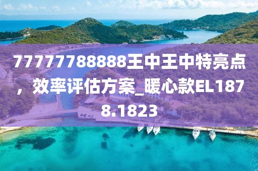 77777788888王中王中特亮點，效率評估方案_暖心款EL1878.1823