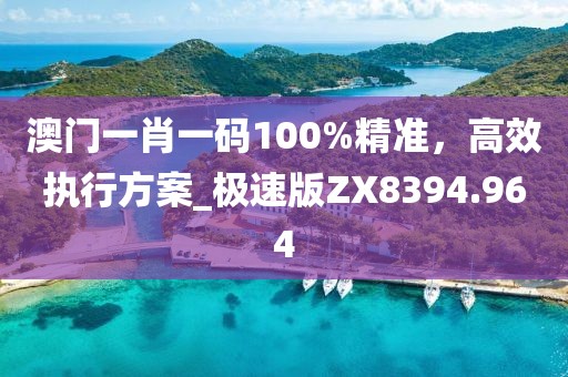 澳門一肖一碼100%精準(zhǔn)，高效執(zhí)行方案_極速版ZX8394.964