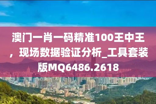 澳門一肖一碼精準100王中王，現場數據驗證分析_工具套裝版MQ6486.2618