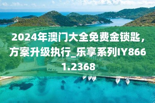 2024年澳門大全免費金鎖匙,方案升級執行_樂享系列IY8661.2368