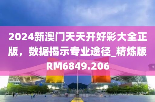 2024新澳門天天開好彩大全正版，數據揭示專業途徑_精煉版RM6849.206