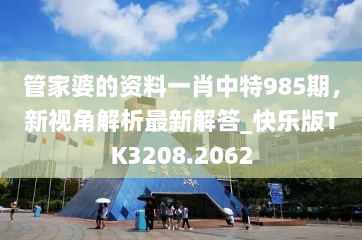 管家婆的資料一肖中特985期，新視角解析最新解答_快樂版TK3208.2062