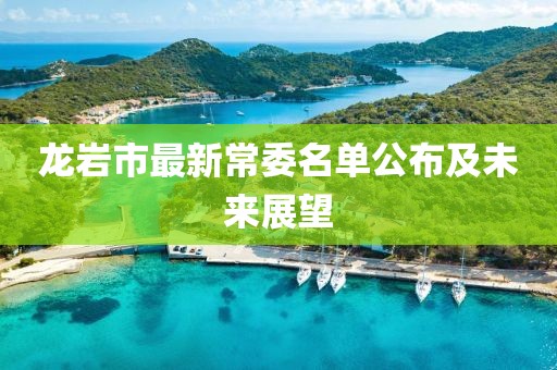 龍巖市最新常委名單公布及未來展望