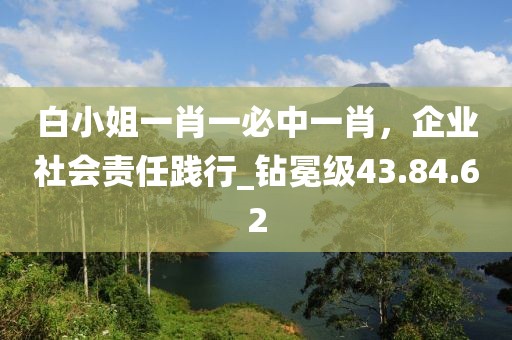 白小姐一肖一必中一肖，企業社會責任踐行_鉆冕級43.84.62