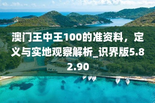 澳門王中王100的準資料,定義與實地觀察解析_識界版5.82.90