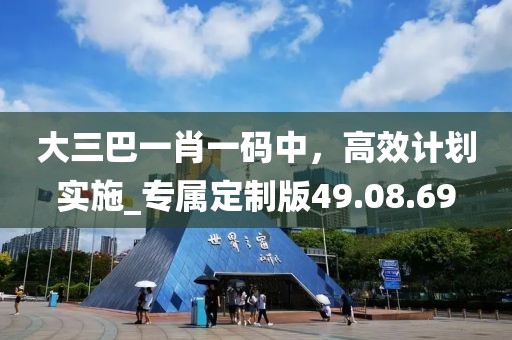 大三巴一肖一碼中,高效計劃實施_專屬定制版49.08.69