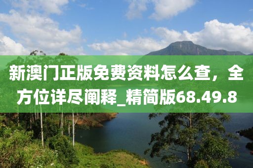 新澳門正版免費資料怎么查，全方位詳盡闡釋_精簡版68.49.80