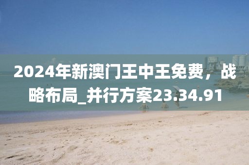 2024年新澳門王中王免費，戰略布局_并行方案23.34.91