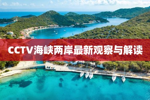 CCTV海峽兩岸最新觀察與解讀