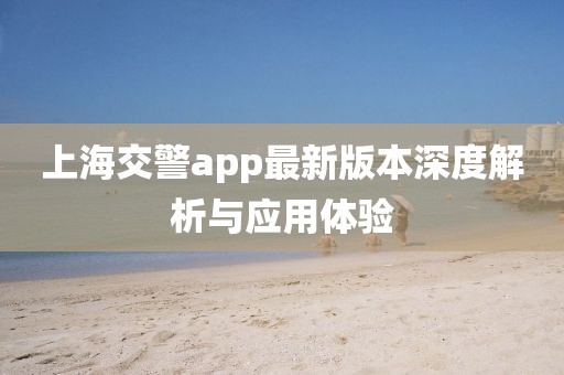 上海交警app最新版本深度解析與應(yīng)用體驗(yàn)