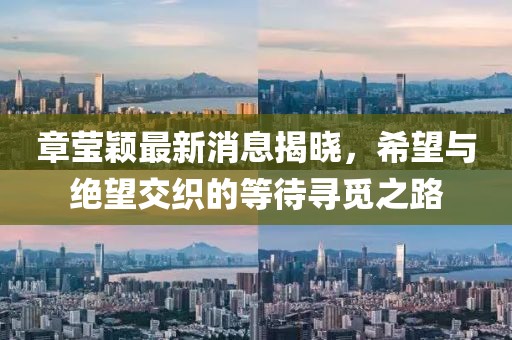 章瑩穎最新消息揭曉,希望與絕望交織的等待尋覓之路