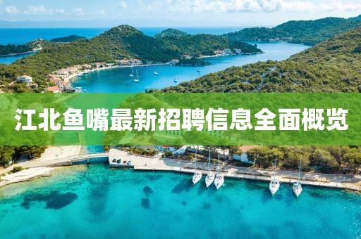 江北魚嘴最新招聘信息全面概覽