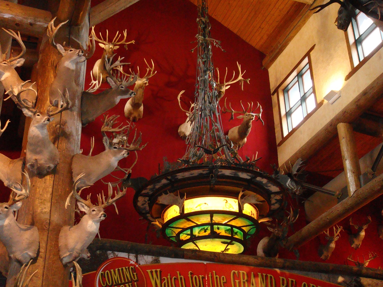 最新時空獵人下載,無盡游戲冒險之旅開啟